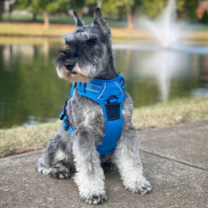 Doggie Design – Engroshandel Kæledyrssele – Hund – Venture Paw hundesele - Mountain Lake1