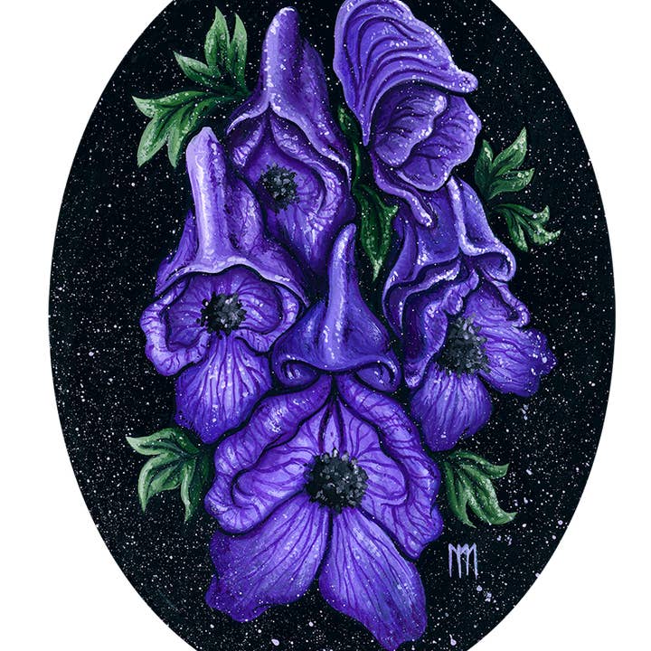 Monkshood Giclee Print for wholesale by Meagan Meli Illustration