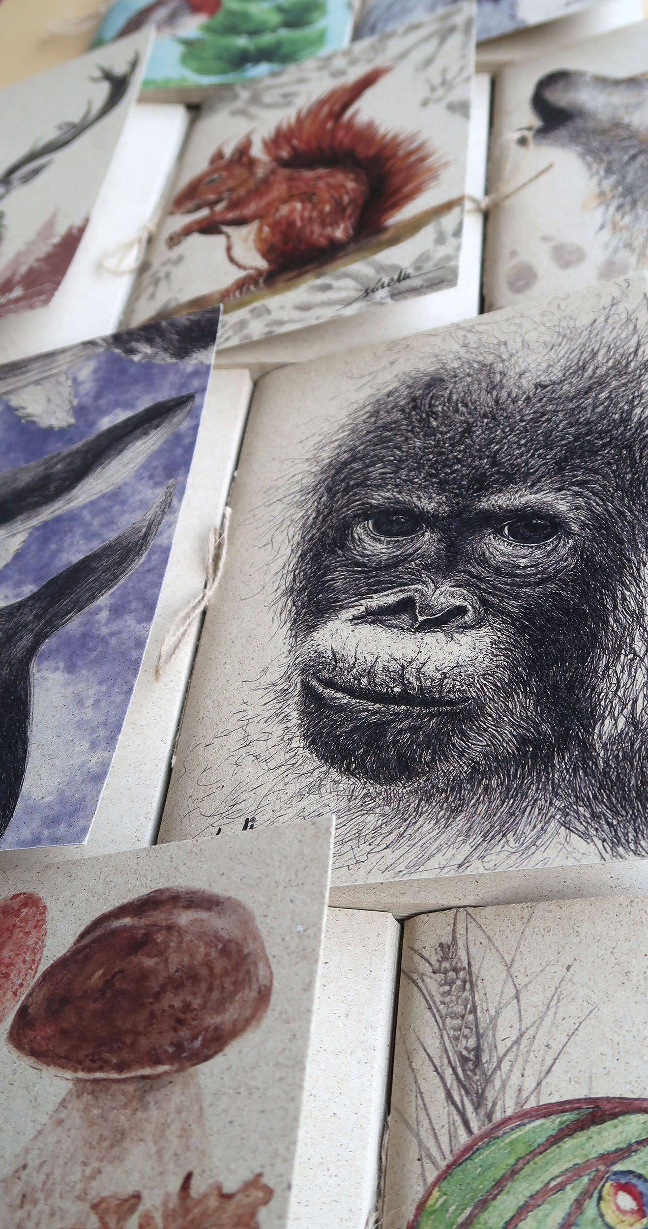 Sirem Wild - Wholesale Notebook - Grass paper notebooks of animals and nature2