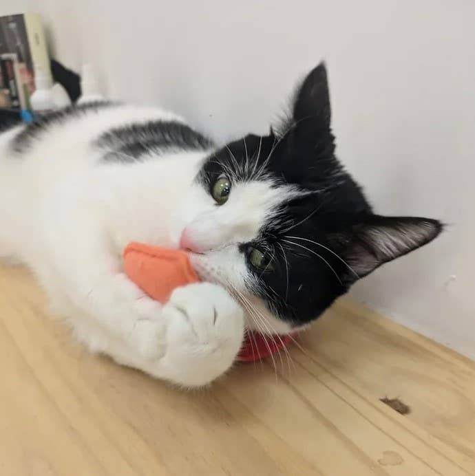 LES MATOULONNAIS - Venta al por mayor Juguete - Gatos - Nube arcoíris de fieltro «LES MATOULONNAIS»4