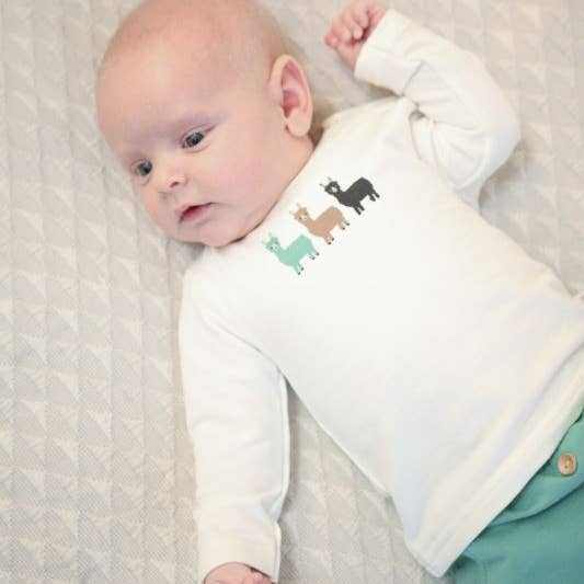 Maglia m.l. Alpaca per la vendita all'ingrosso da parte di Bess