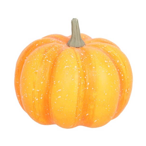 Kürbis M für den Großhandel von NACH