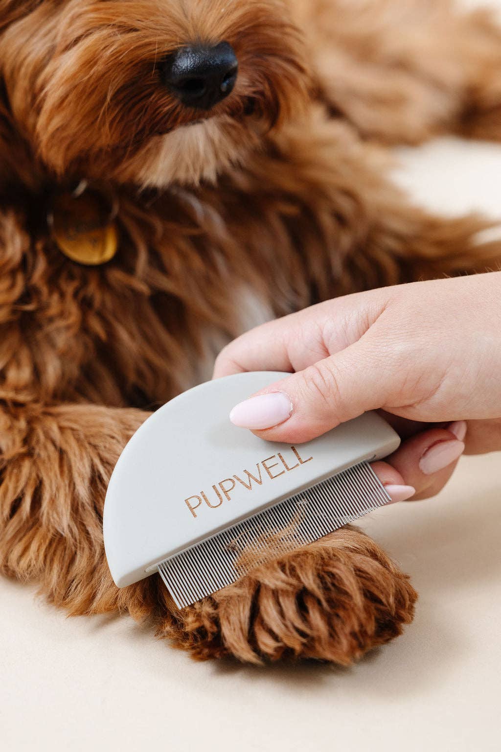 Pupwell - Wholesale Pet Grooming Tool - Dog - The Detailer Comb6