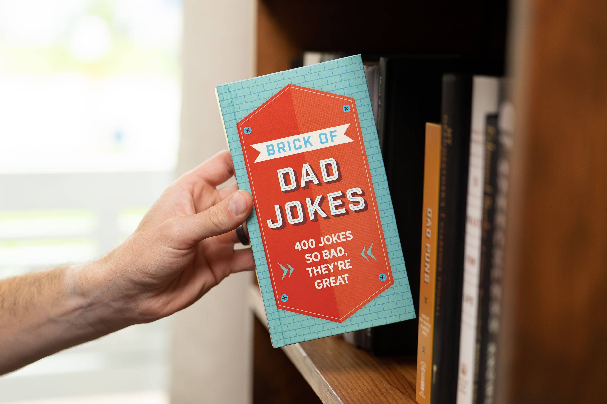 HarperCollins Focus - Wholesale Humor - Brick of Dad Jokes5