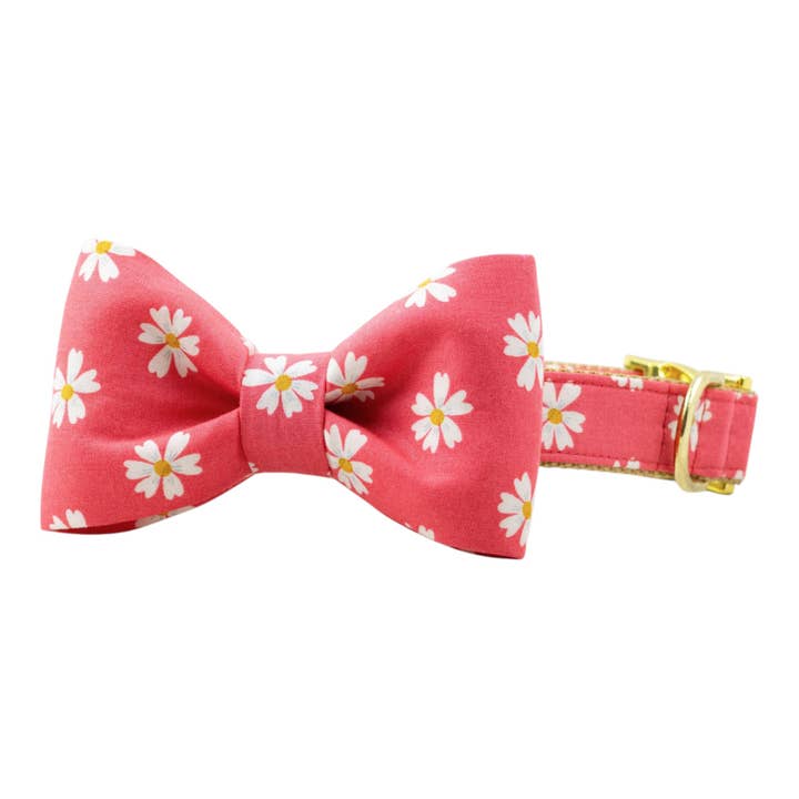 Collar de perro con pajarita y margaritas coral para venta al por mayor de Crew LaLa