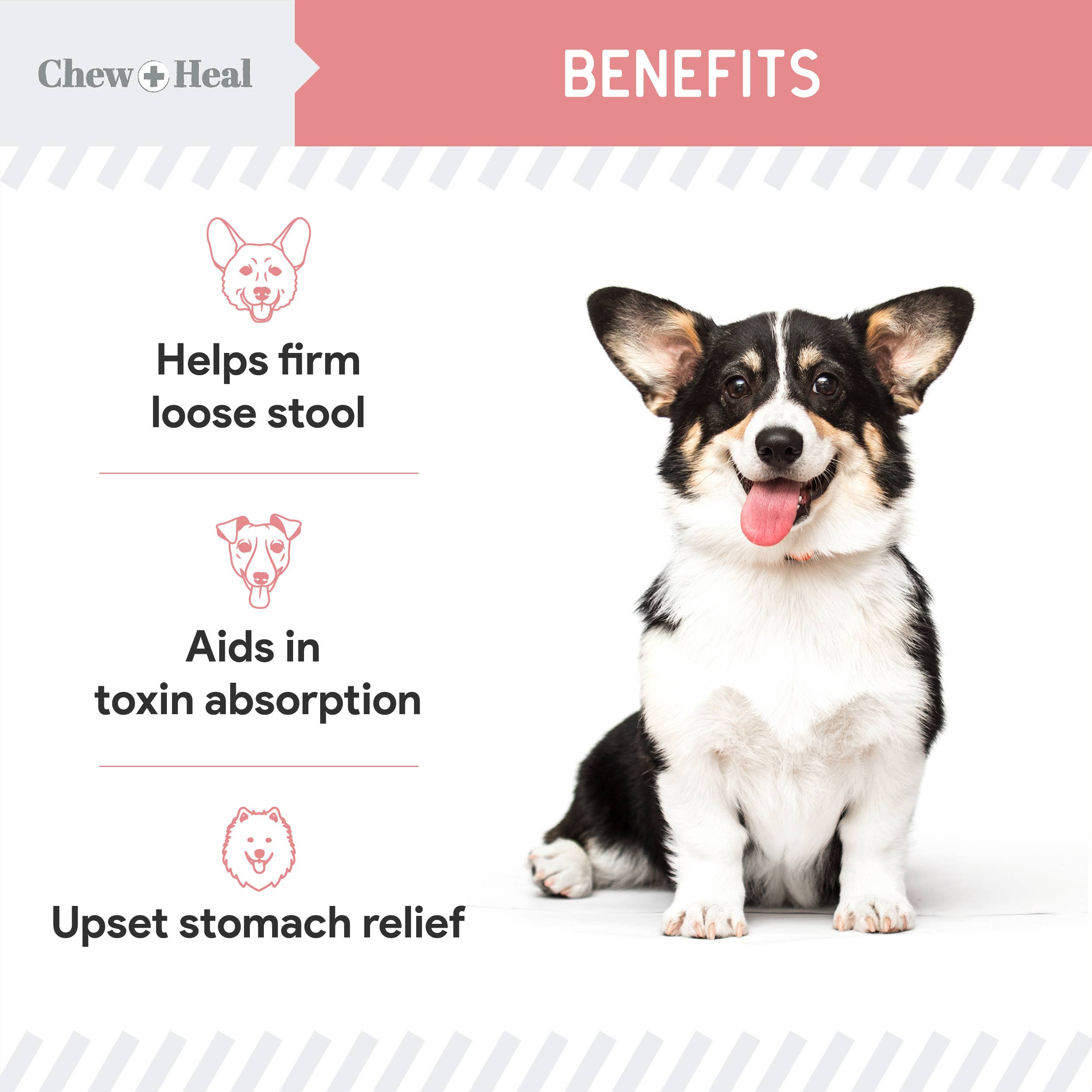 Chew + Heal – Suplemento para animais de estimação – Cão por atacado – Pare a Diarreia, Anti Diarreia para Cães7