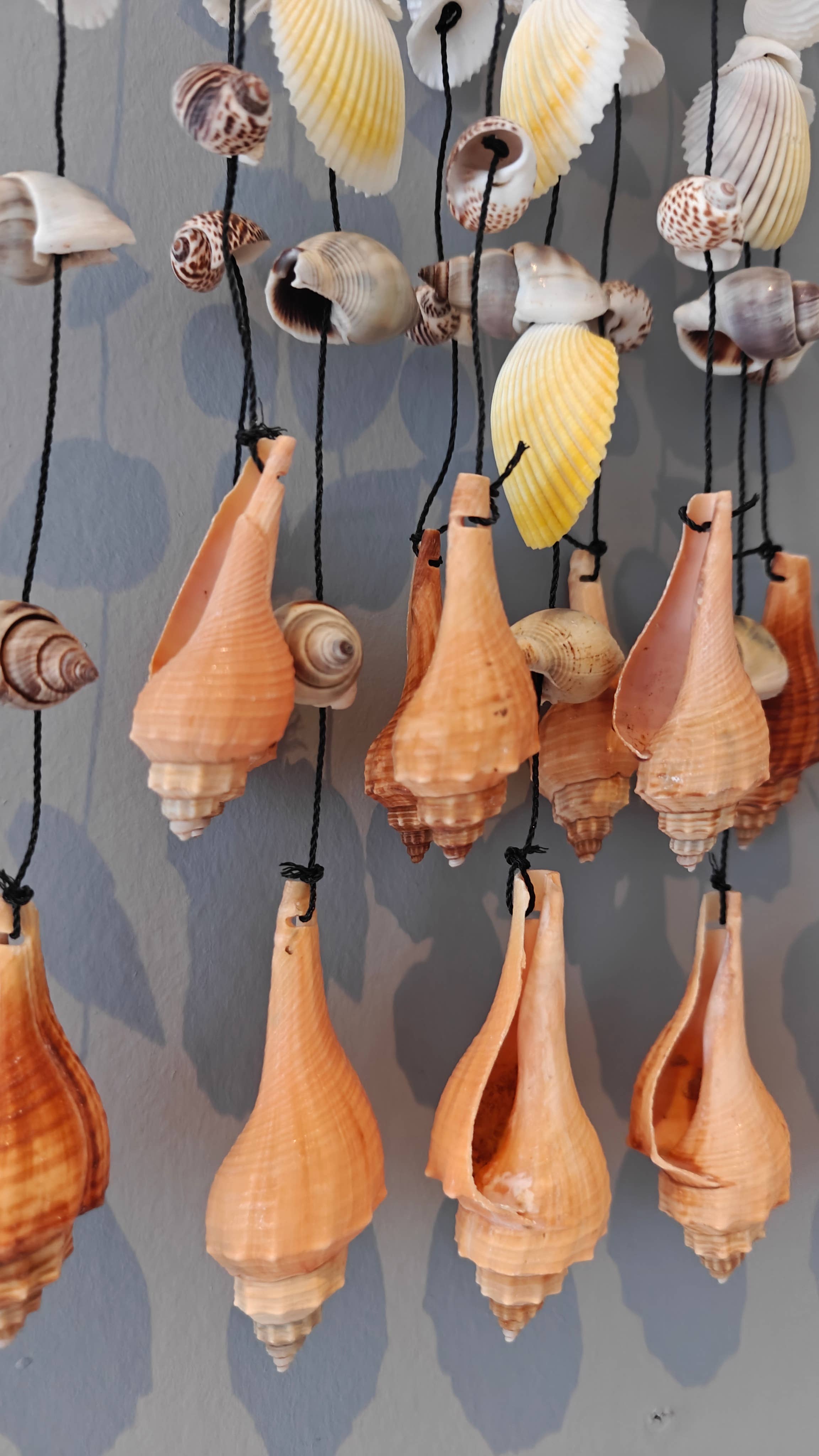 Product Import Holland – Engroshandel Vindharpe – Bambus vindspil med skaller - tropisk kystdekoration1