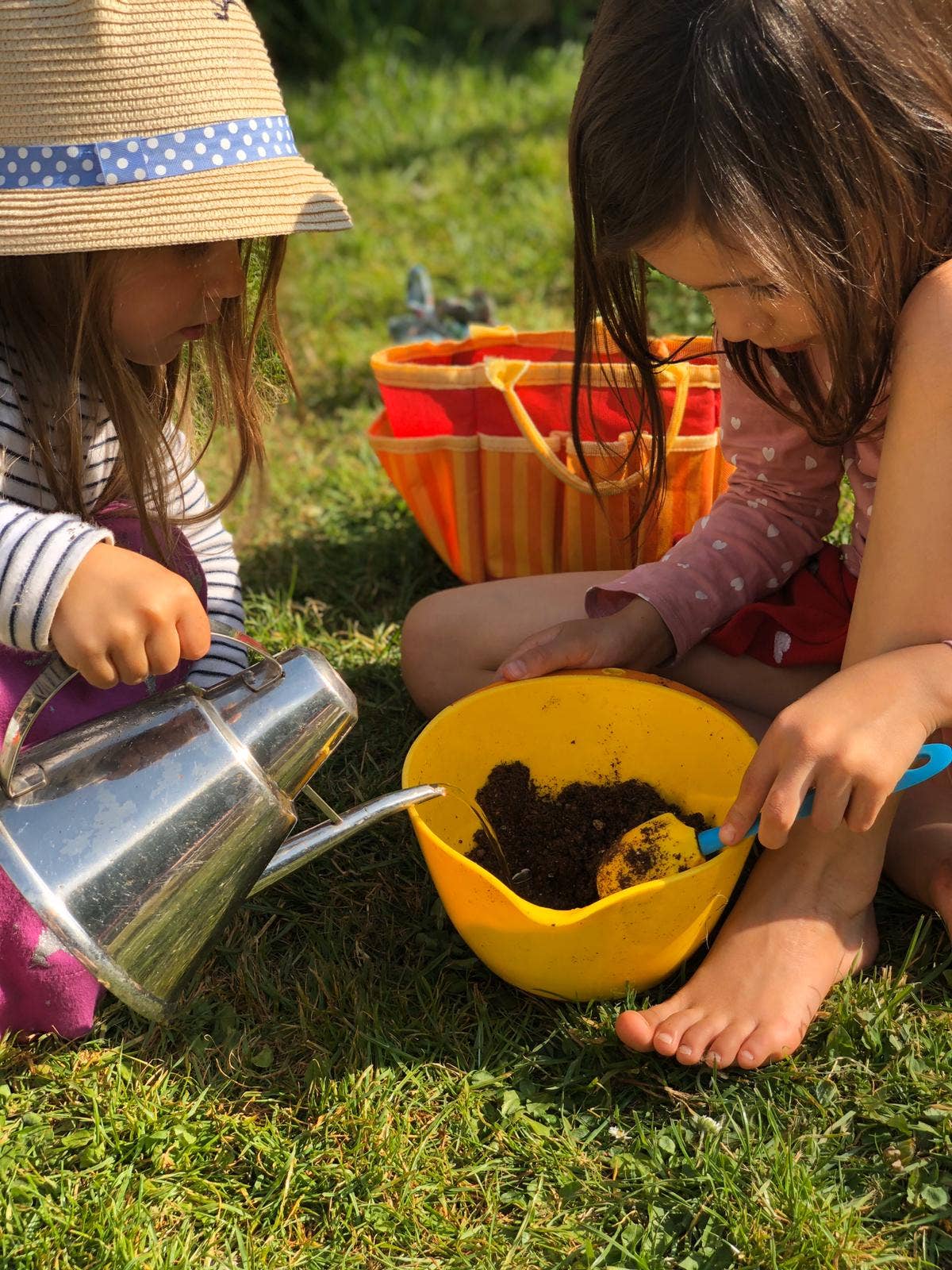 Nature Nurture Kids – wholesale DIY craft kit – Child – DIY Bat Seed Bomb Kit5