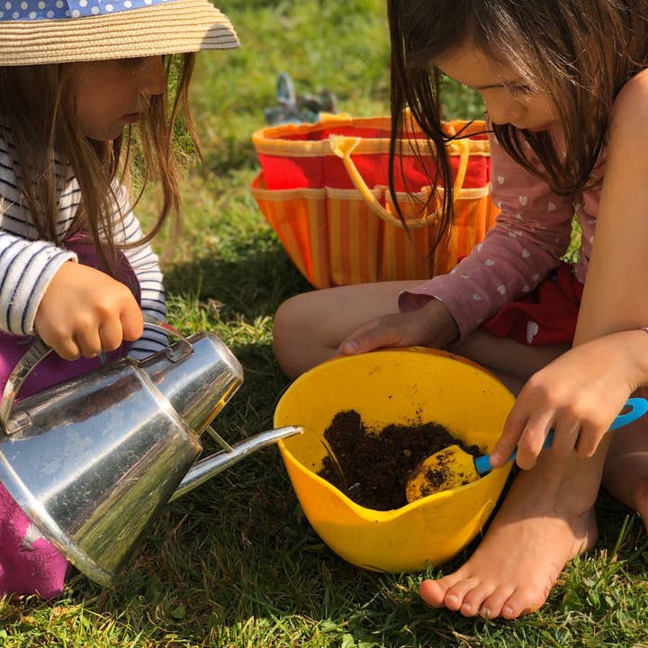 Nature Nurture Kids – wholesale DIY craft kit – Child – DIY Bat Seed Bomb Kit5