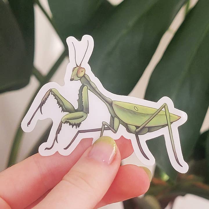 Prey Mantis Insect Sticker for wholesale by Krisanthemum