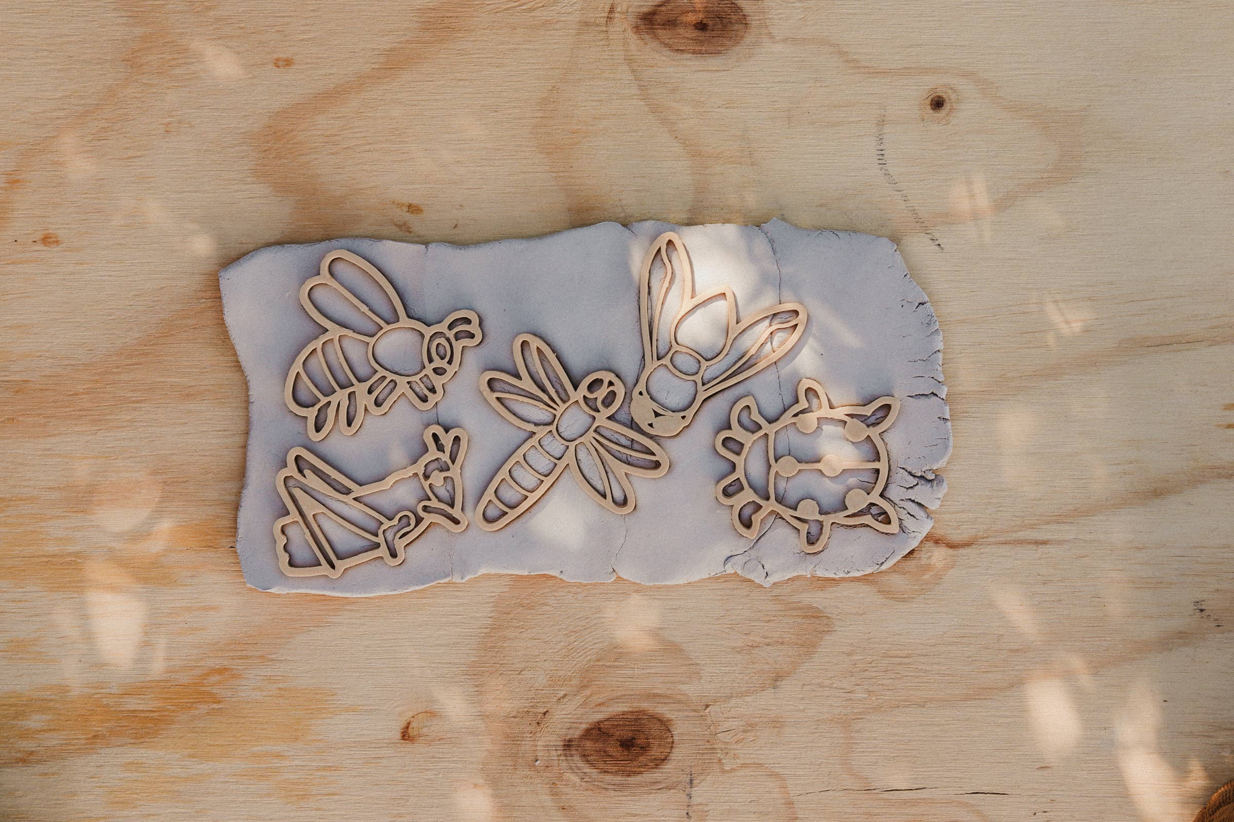 Kinfolk Pantry - Wholesale Toy Set - Kids - Insect Cutter Set - Eco Playdough Tool4