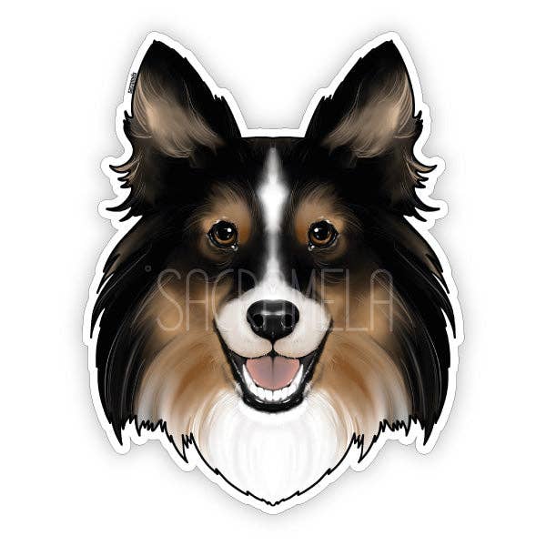 CHIEN DE BERGER SHETLAND TRICOLORE pour la vente par SACRAMELA