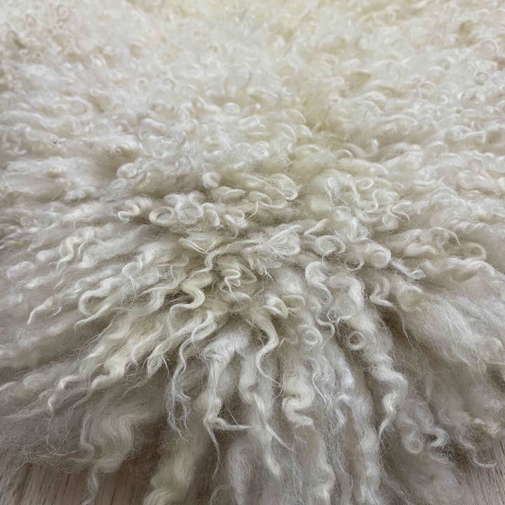 Wildash London - Wholesale Area Rug - British Curly Sheepskin Ivory Cream White 100% Natural Sheep Skin Rug4