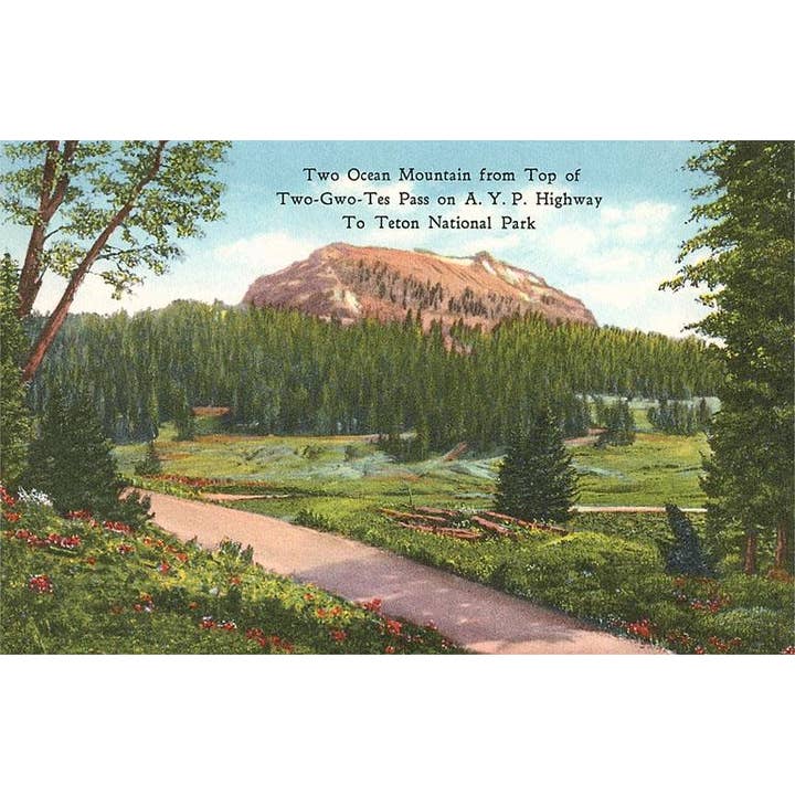 Found Image Press - Wholesale Postcard - Postcard WY-110 Two Ocean Moutain, The Tetons