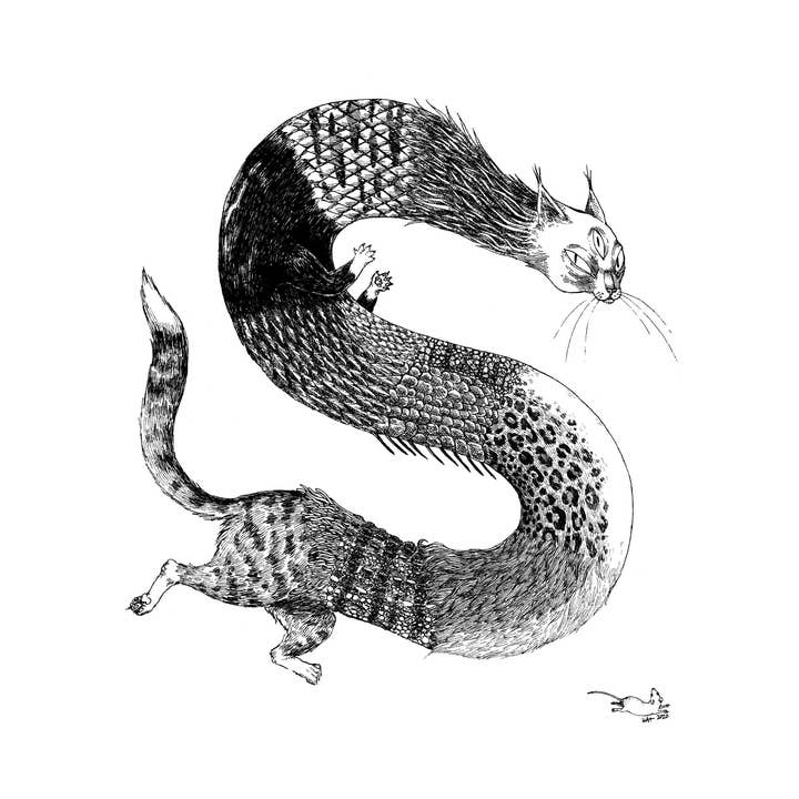 Stupid Animal Shop - Wholesale Art Print - Cattywampus 8x10" Print