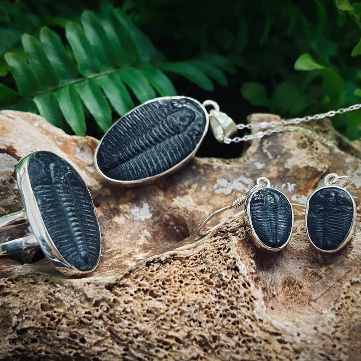 Black Feather Design - Vendita all'ingrosso Anelli cocktail/statement - Anello trilobite, gioielli in vero fossile, in argento 925