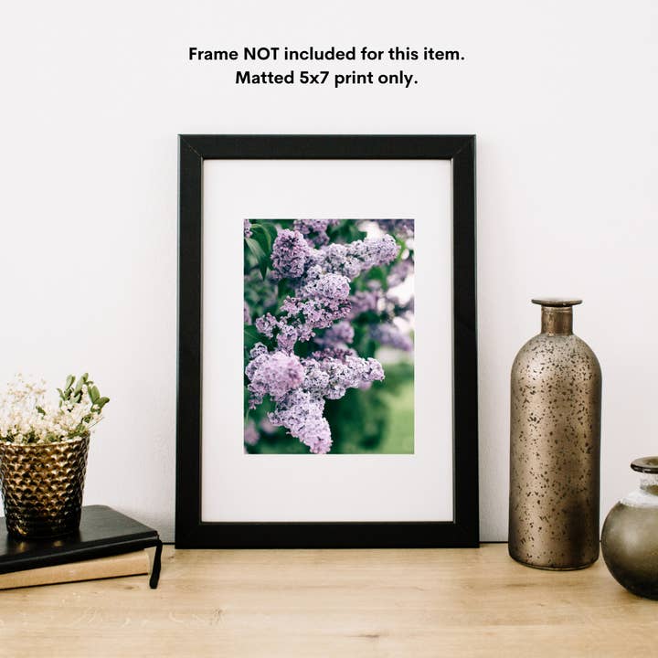 Alexis Arnold Photography - Wholesale Art Print - Color Fine Art Matted Photograph of a Purple Lilacs2