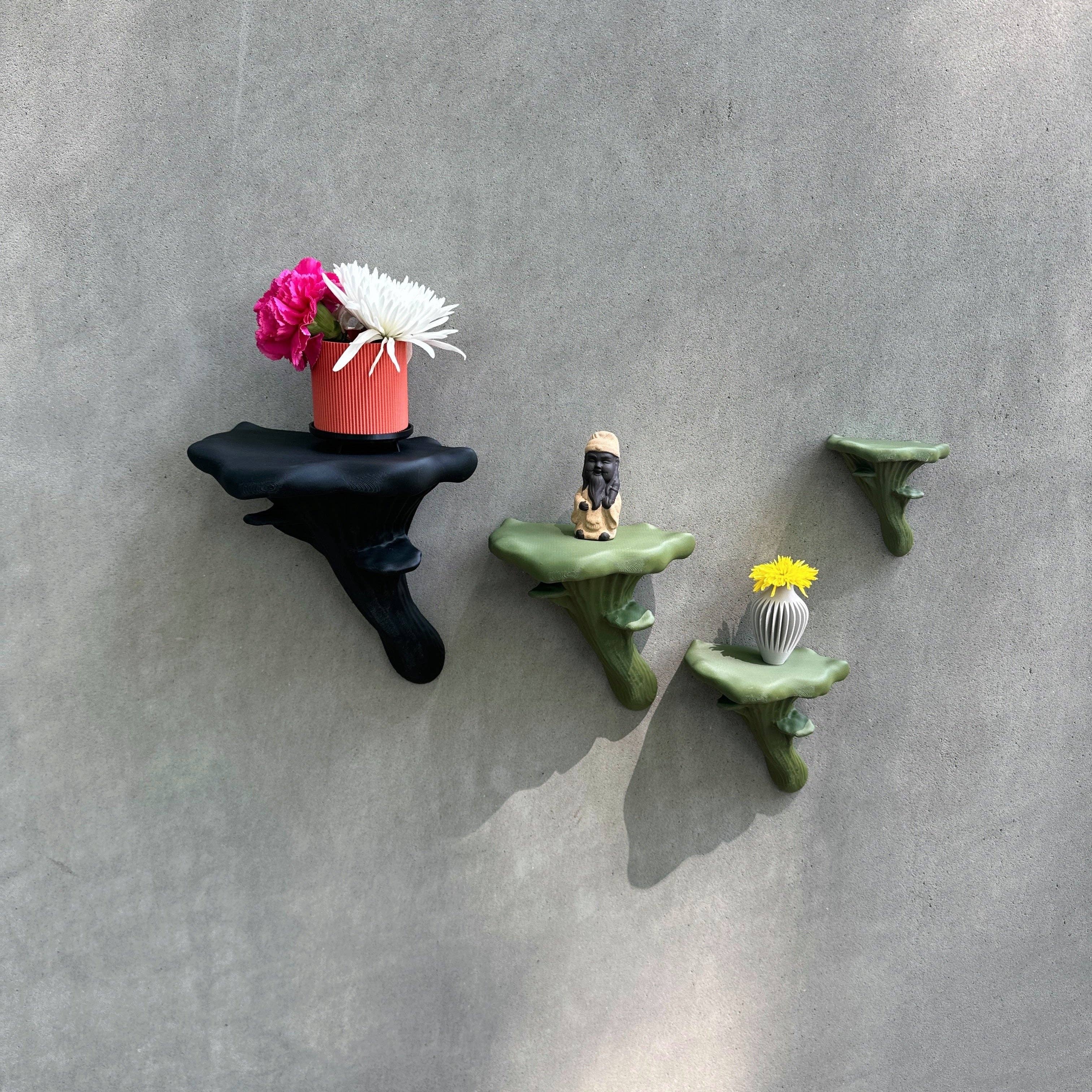 Brehmwood Creative - Wholesale Wall Mounted Shelf - Oyster Fungi Floating Shelf - Unique Mushroom Decor with 20 Color Options for Any Room2