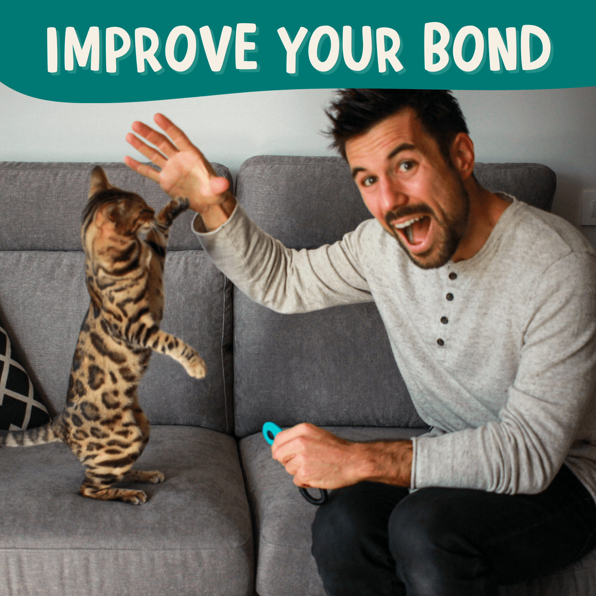 Outdoor Bengal - Wholesale Card Game - CLICK CRUSADE™ - Cat Training4