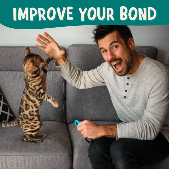 Outdoor Bengal - Wholesale Card Game - CLICK CRUSADE™ - Cat Training4