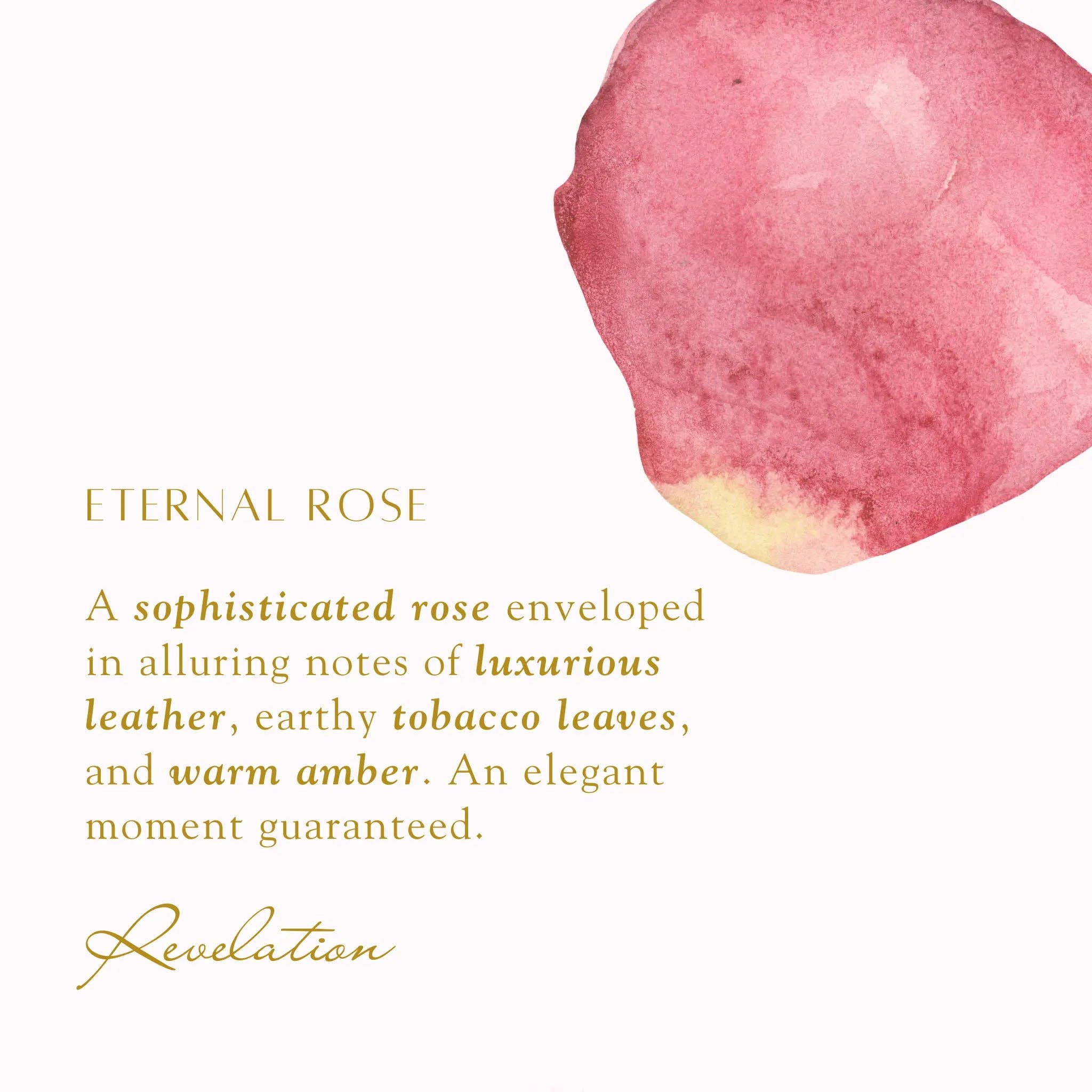 Revelation Candle - Wholesale Jar/Filled Candle - NEW! "I Can Do All things" Philippians 4:13 Revelation Candle10