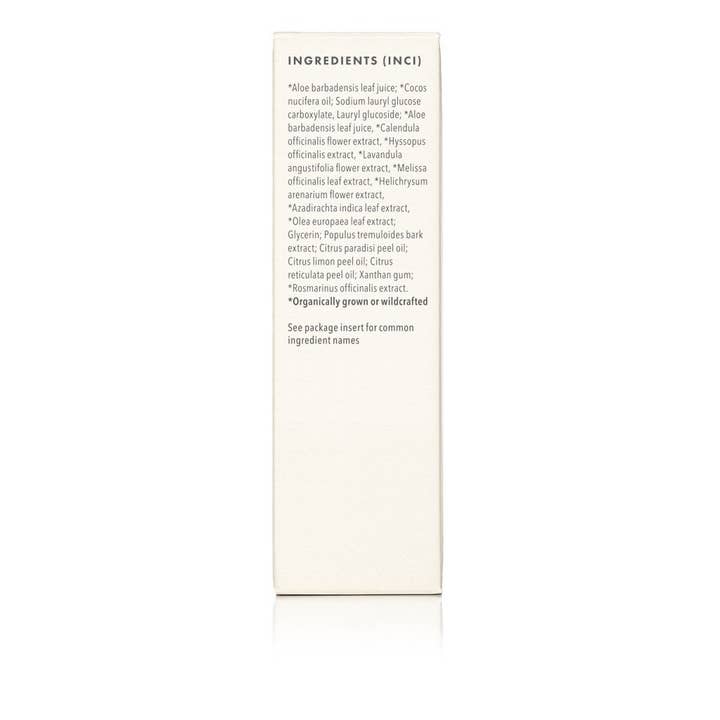 Annmarie Skin Care - Wholesale Facial Cleanser - Aloe Herb Cleanser (100ml)