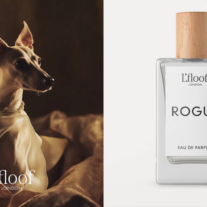 L'floof – Großhandel Haustierspray – Hund – Parfüm-Duftspray für Hunde — 100 ml — L'Floof ROGUE