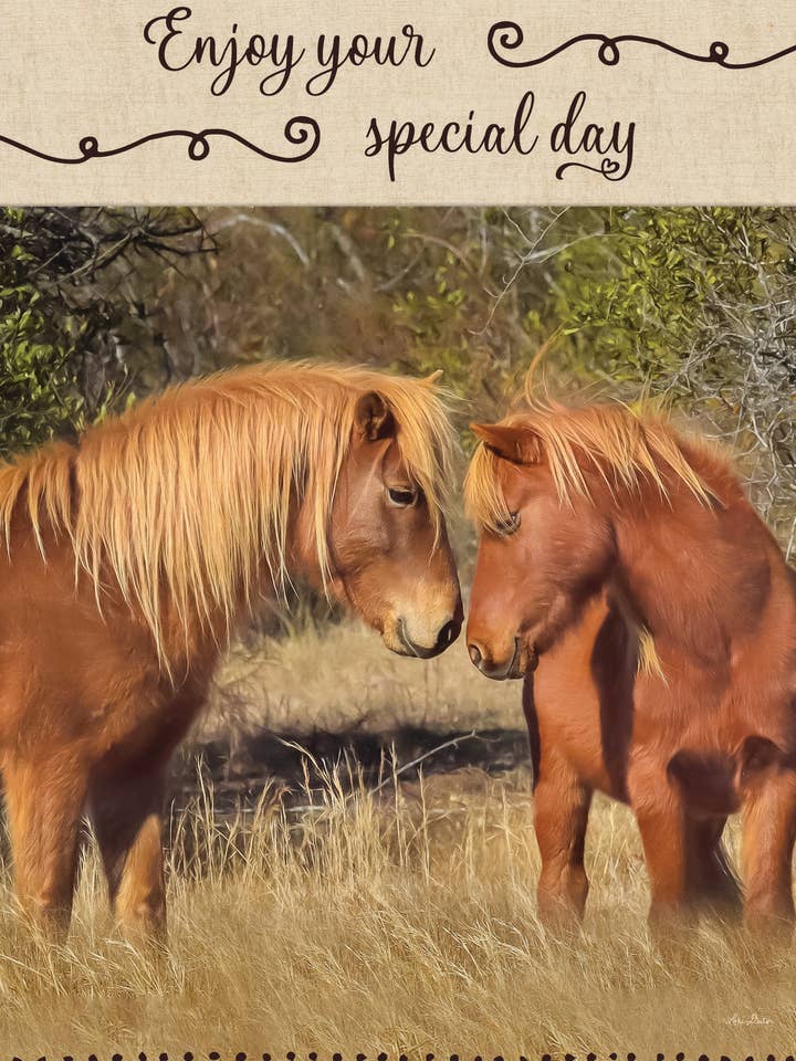 BD/Two Horses for wholesale by Greeting Cards by Norcard