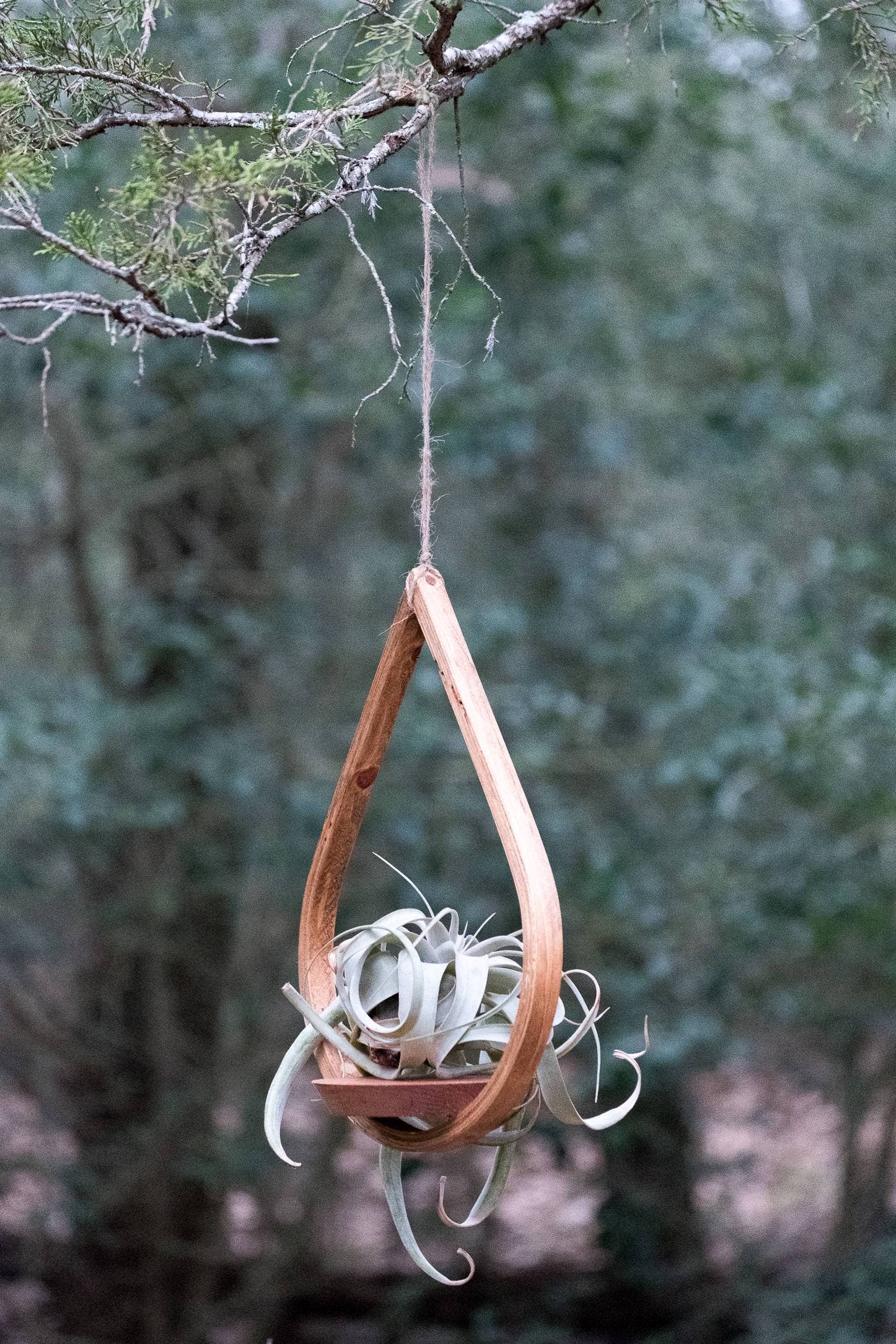 Horsemen Co. – wholesale Hanging planter – Single Tear Drop Hanging Planter8