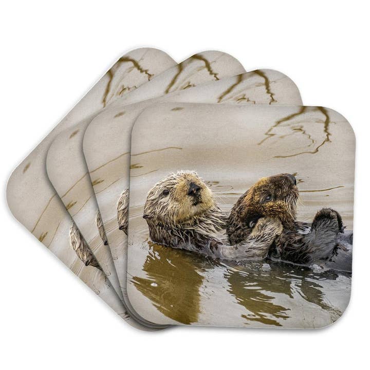 3dRose - Wholesale Coasters - 3dRose, California, Morro Bay. Sea otter mother and pup in water., Coaster7