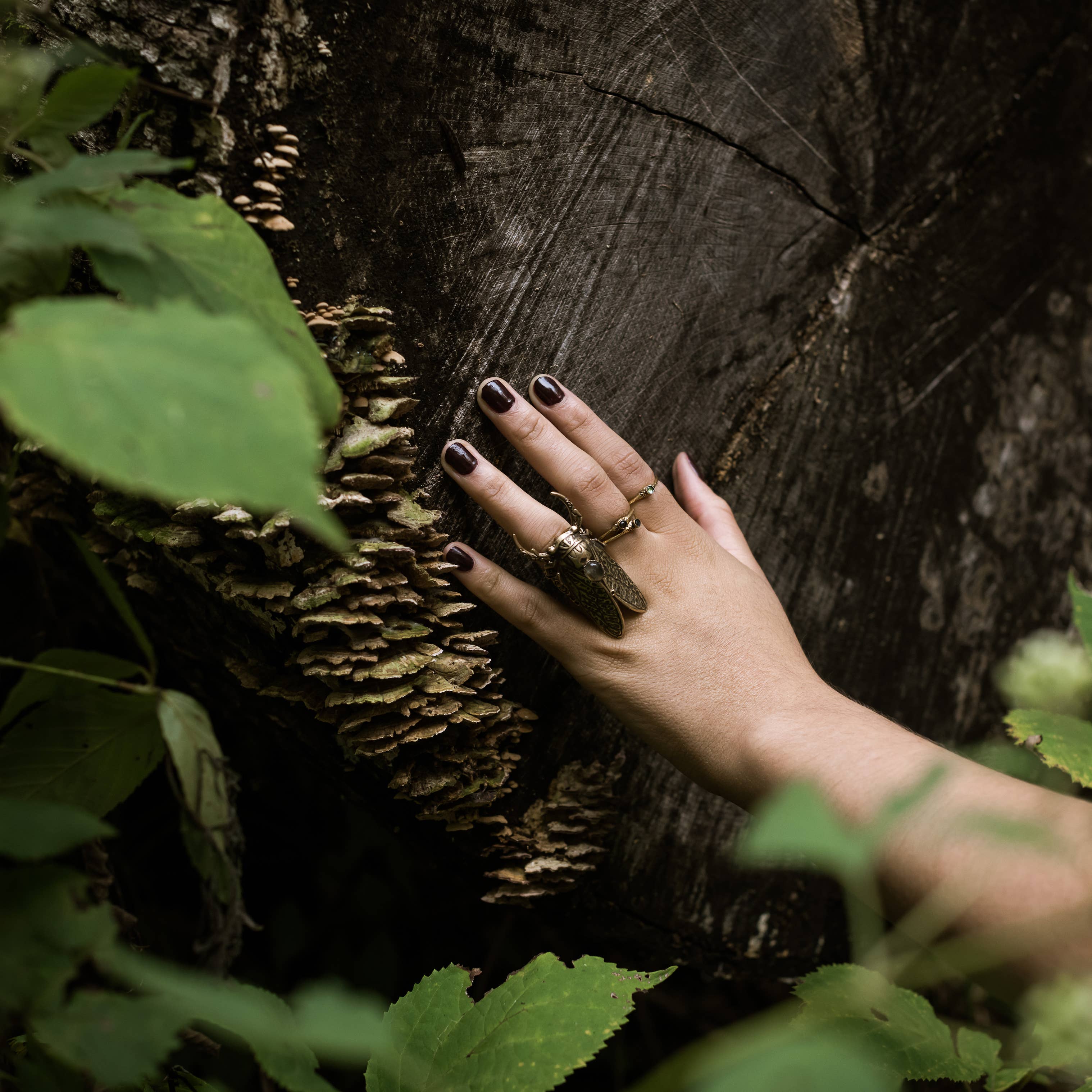 Trollbinde - Wholesale Cocktail/Statement Ring - Crescent-Crowned Cicada Fingerpiece1
