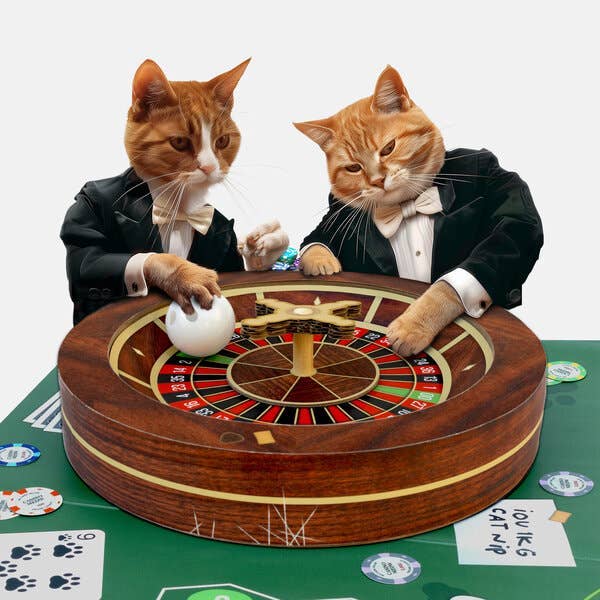 SUCK UK - Wholesale Pet Toy - Cat - Cat Casino