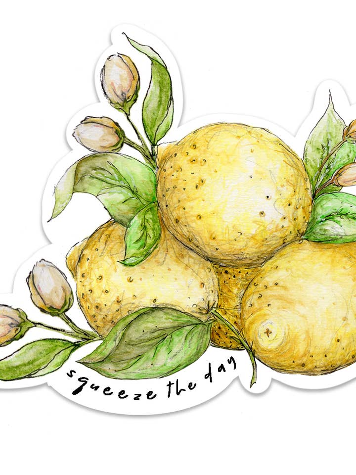 Squeeze the Day Lemon Sticker for wholesale by Lizzy & Grace