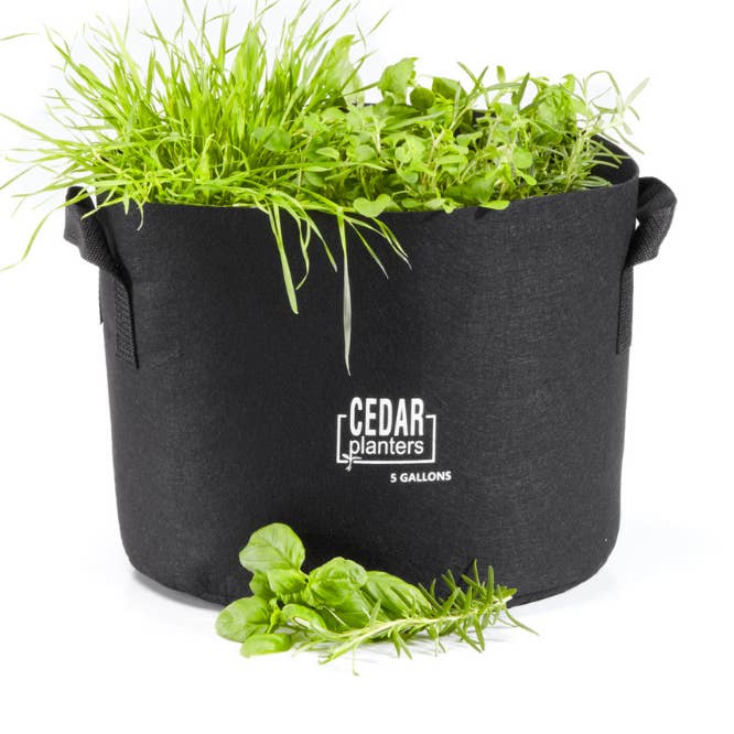Sac de culture (5 gallons) pour la vente par Cedar Planters