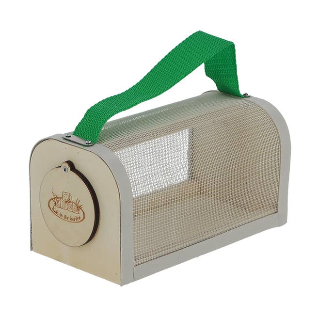 Children's Insect Observation Box for wholesale by Esschert Design USA