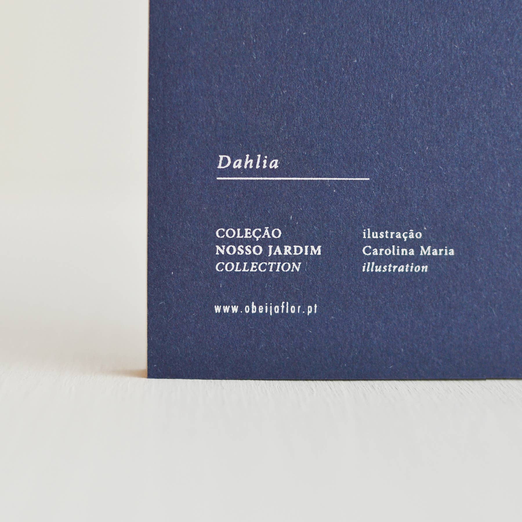 BEIJA-FLOR - Wholesale Notebook - Dahlia notebook6