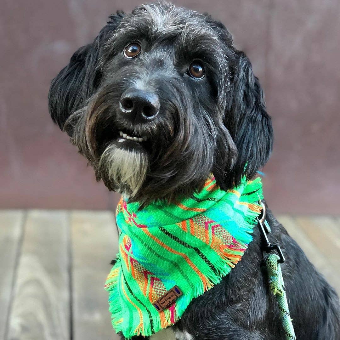 Mom And Pup Co. - Vente Bandana – chien - Bandana aztèque pour chien - bandana bohème, accessoire mignon pour chiot1