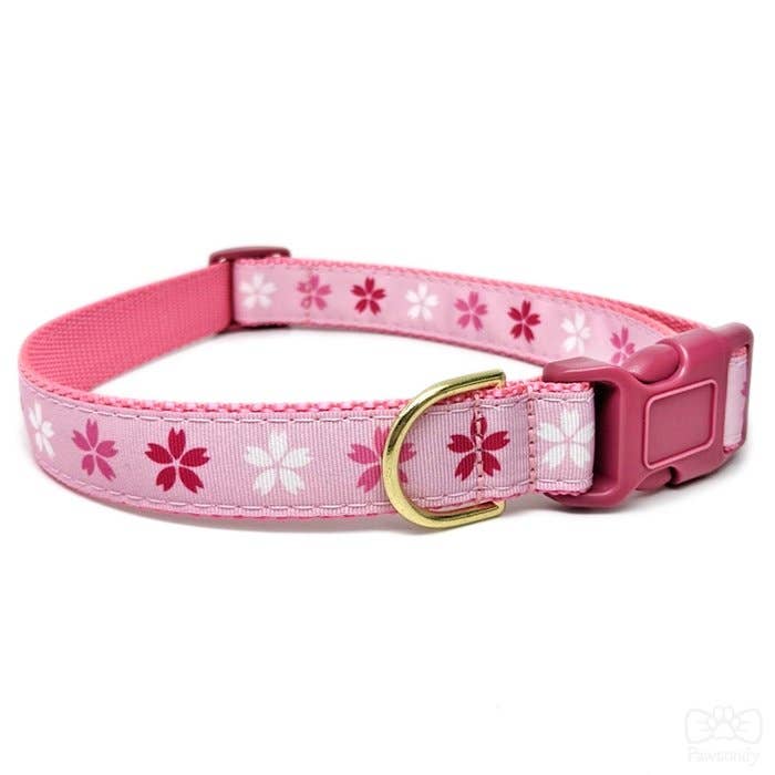 Pawsonify - Wholesale Pet Collar - Cat - Cherry Blossom Collar6