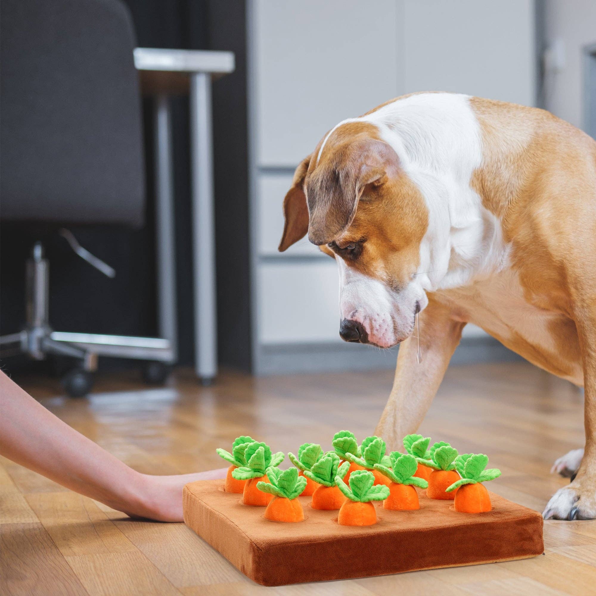 Nocciola - Vendita all'ingrosso Peluche - Cani - Giocattolo di arricchimento per fattoria di carote con dispenser di cibo alla nocciola1