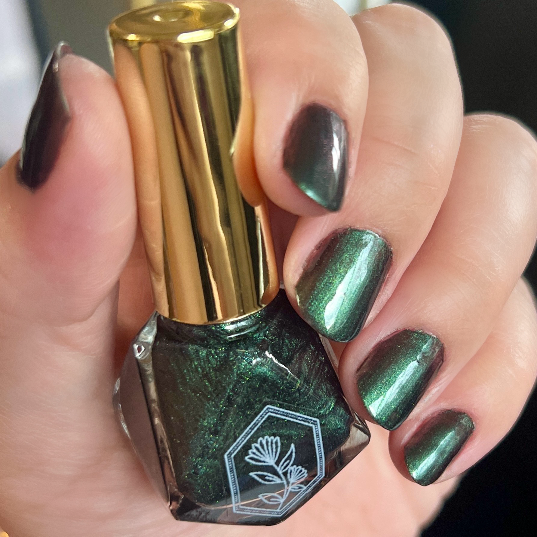 Palafoxia Beauty - Wholesale Nail Polish - Wilderness - Nail Polish2