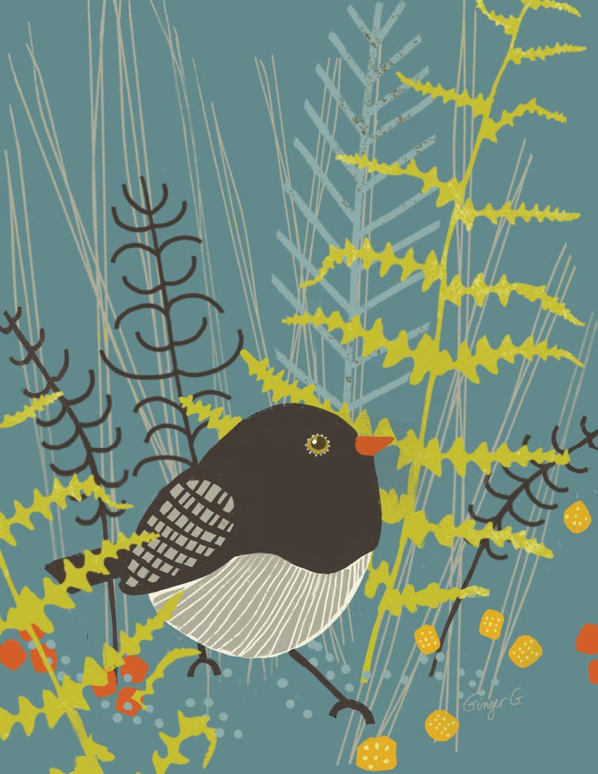 Ginger G. Art - Vente Carte de vœux classique - Carte de vœux vierge Junco - Birds A21