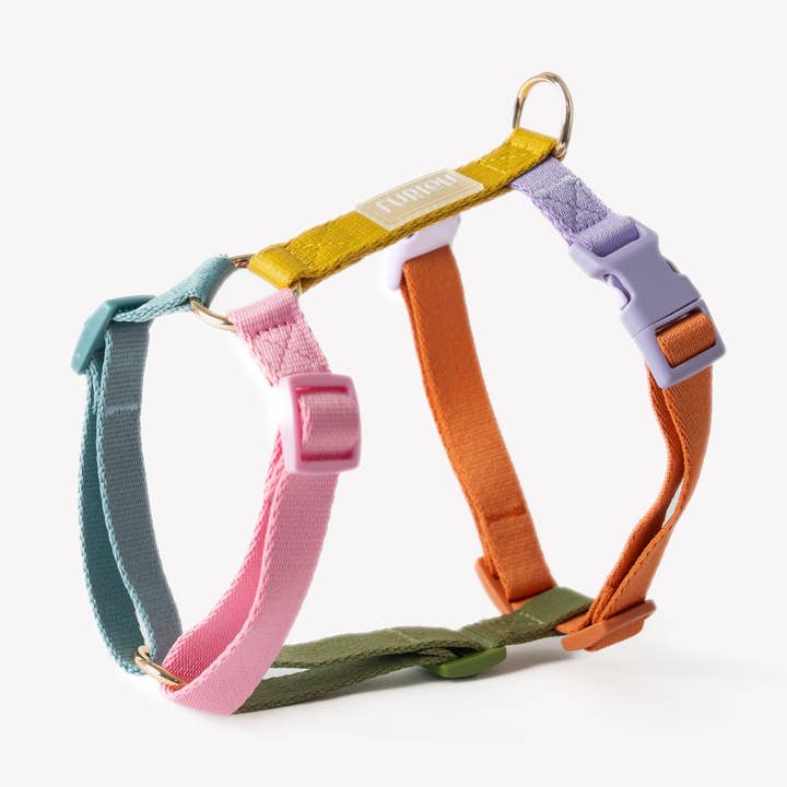 'Rainbow - Strap Dog Harness' for wholesale by Furlou