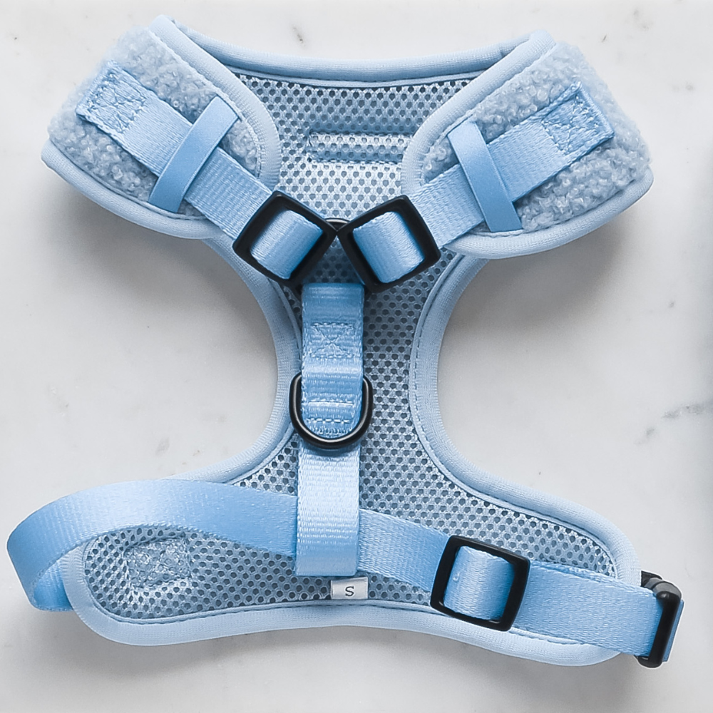 Cocopup London – wholesale Pet harness – Dog – Teddy Daydream Adjustable Neck Harness1