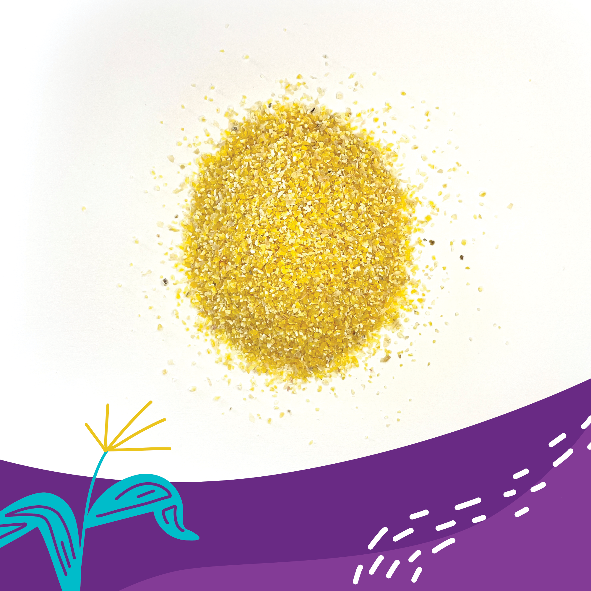 FishSki Provisions - Vendita all'ingrosso Porridge di mais - Semola di mais giallo Western Heirloom, macinata grossa, sacchetto da 2 libbre5