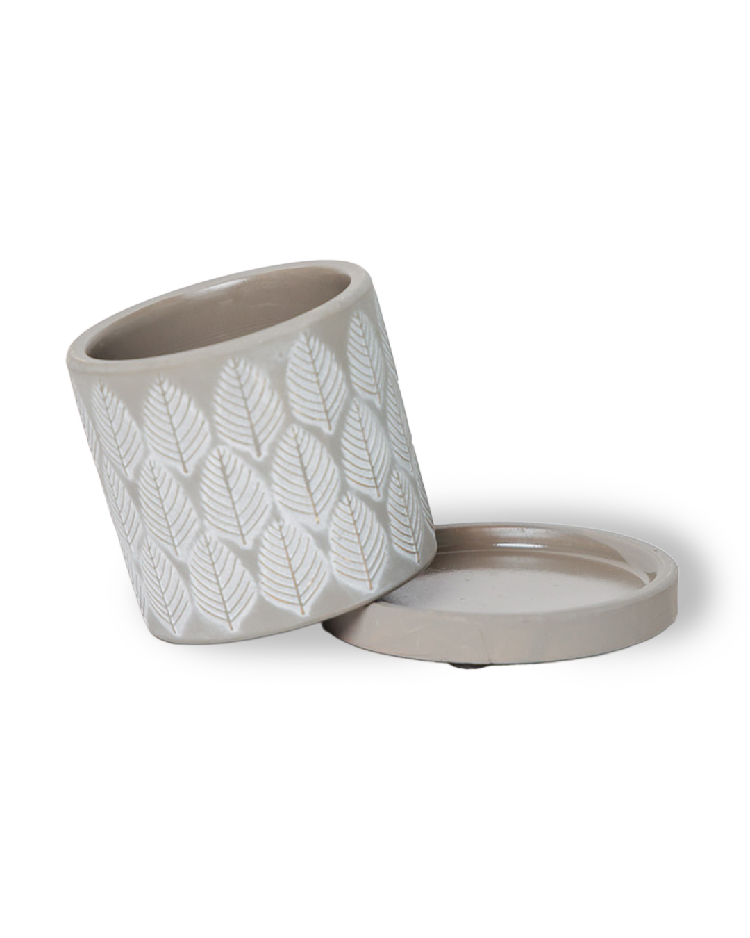 Chive - Wholesale Plant Pot - Balter Succulent Containers Cactus Pot And Saucer19