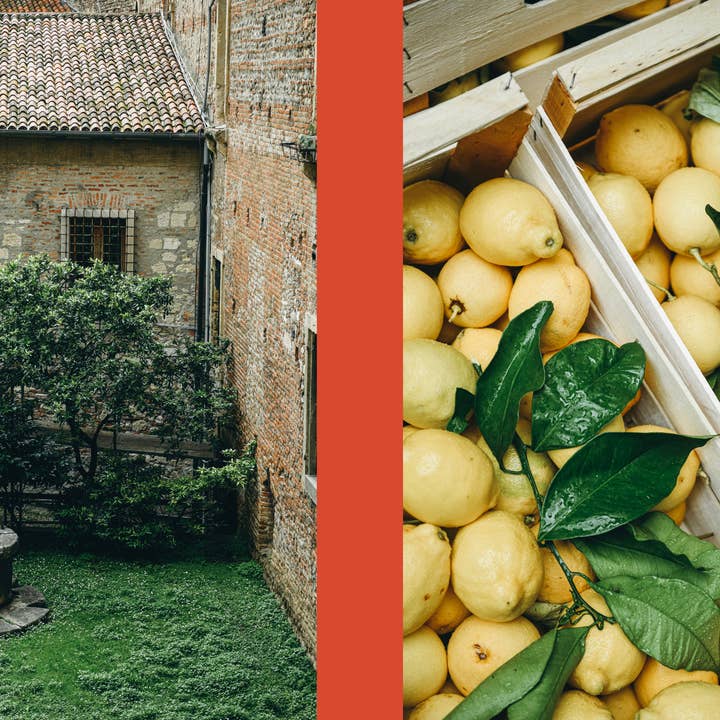 Cozy Publishing - Wholesale Cookbooks & Food - La Nostra Cucina Povera – Everyday Italian Eats2