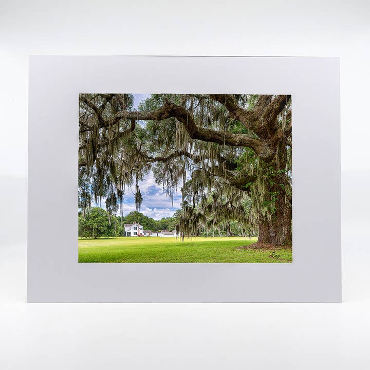 Artwork-Hofwyl-Broadfield Plantation for wholesale by Mike Ring Photography