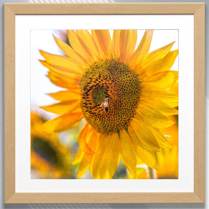 Fine Art Giclee Print - Sunflower with Bee for wholesale by Natalie’s Art