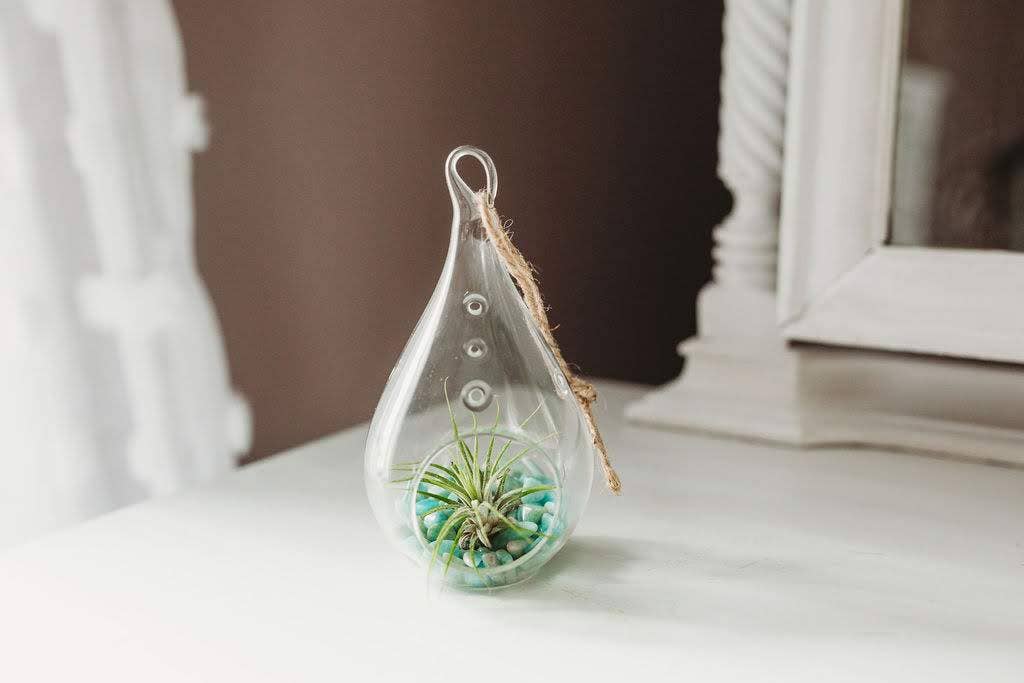 The Simply Crafty Shop - Wholesale Terrarium - Pear Shape Terrarium Kit- Semi-Precious Stone35
