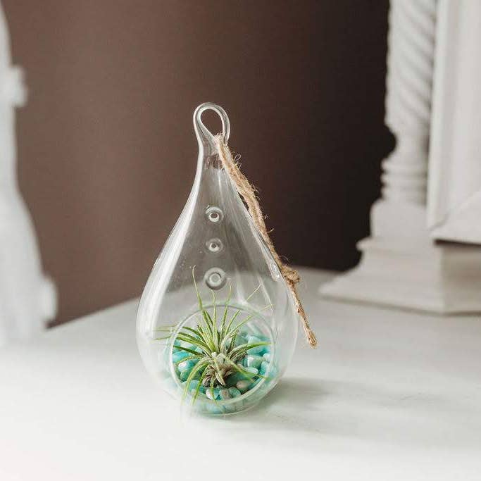 The Simply Crafty Shop - Wholesale Terrarium - Pear Shape Terrarium Kit- Semi-Precious Stone35
